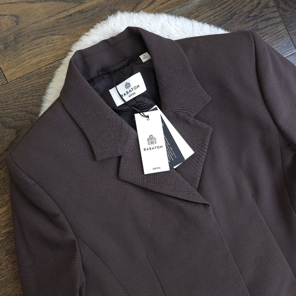 Aritzia Babaton Autograph Office Siren Brown Minimilist Suit Blazer Dress - Picture 6 of 11